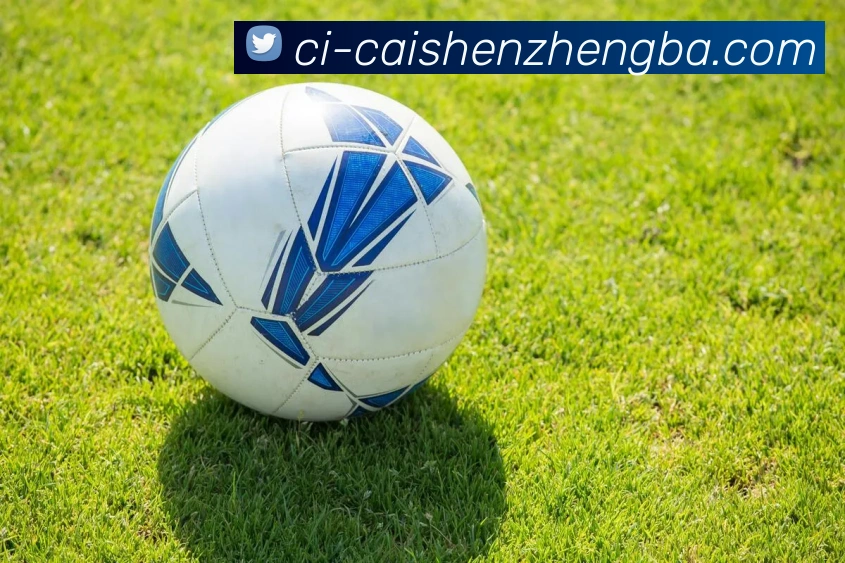 彩神争霸平台生态图